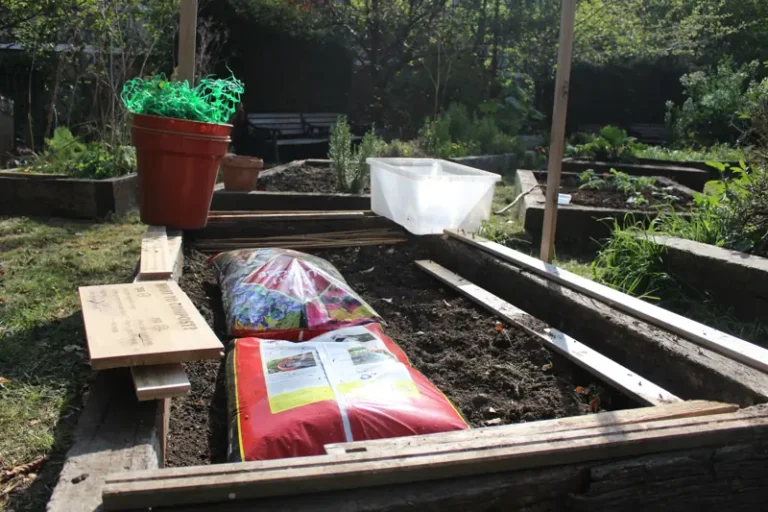 Compost Club