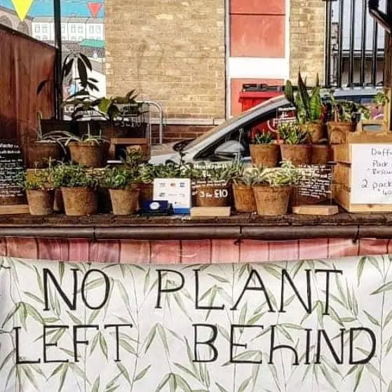 A Where Friends Grow social in London