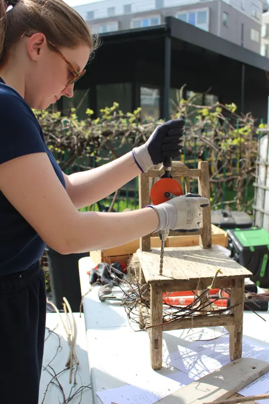 Building the raised beds