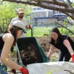 Community Garden Build Day in Sheffield