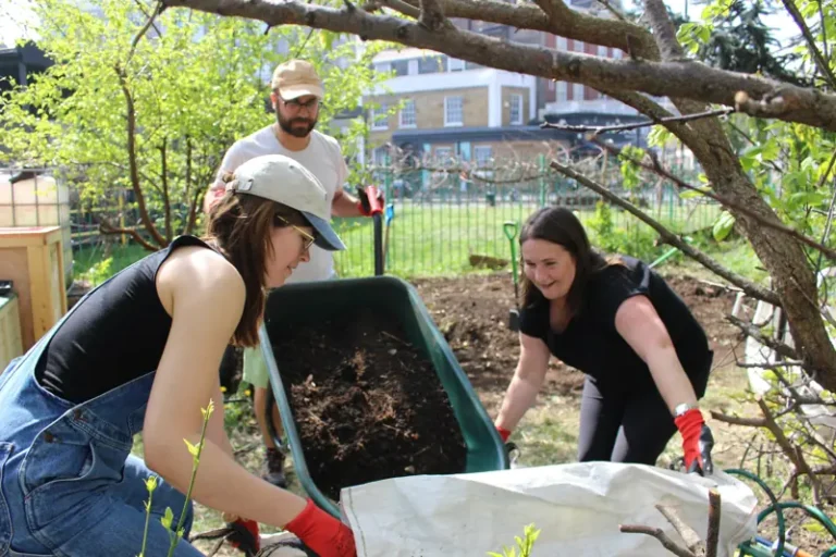 Community Garden Build Day in Sheffield