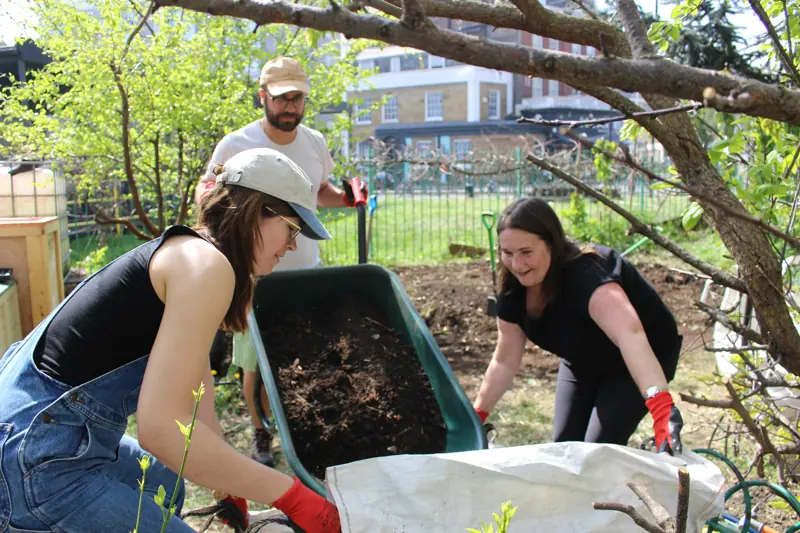 Community Garden Build Day in Sheffield