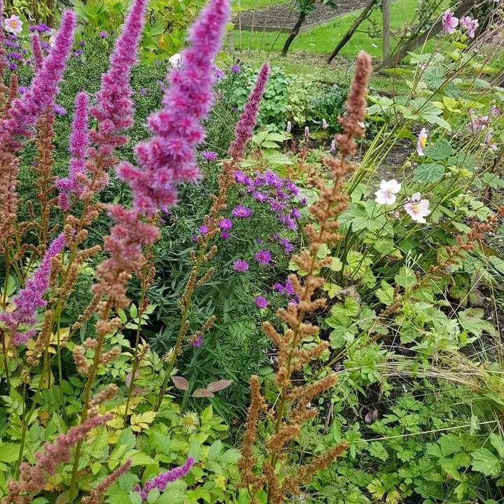 Wildflower Seed Bomb Social in Manchester