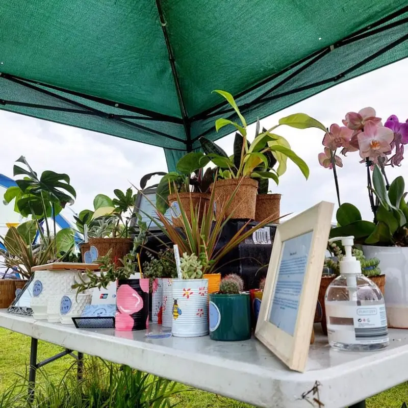 Allotment Open Day
