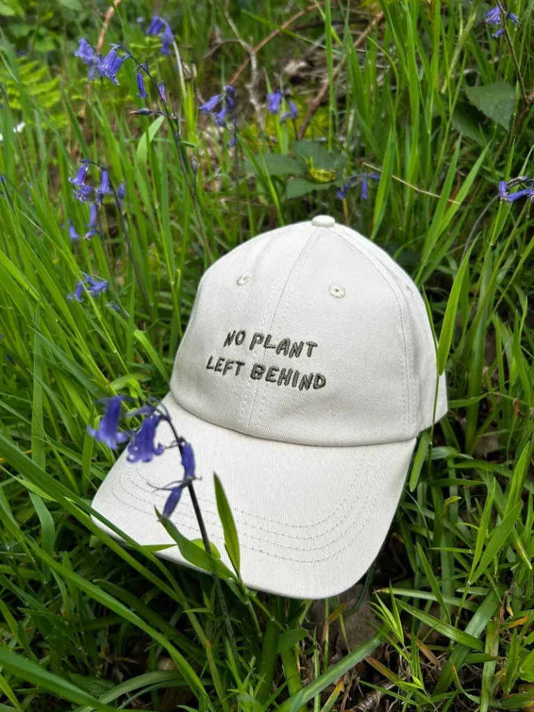 The cream cap lying among bluebells