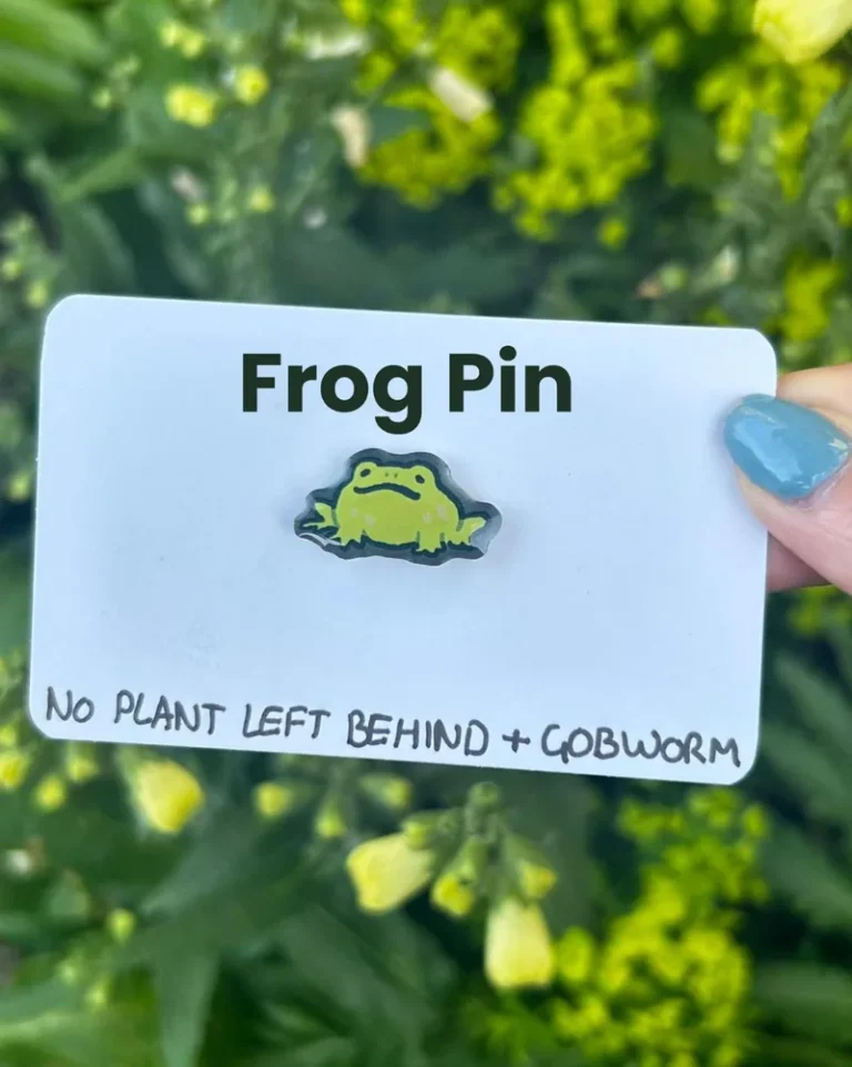 The frog pin on its backing card
