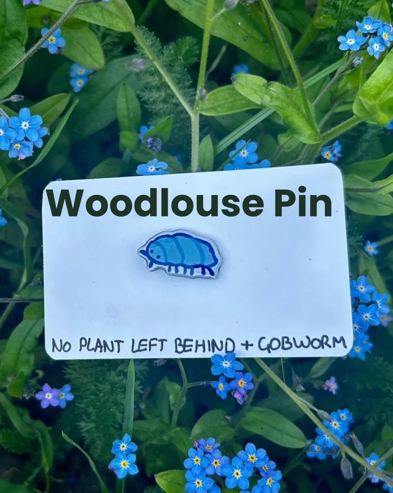 The woodlouse pin on its backing card