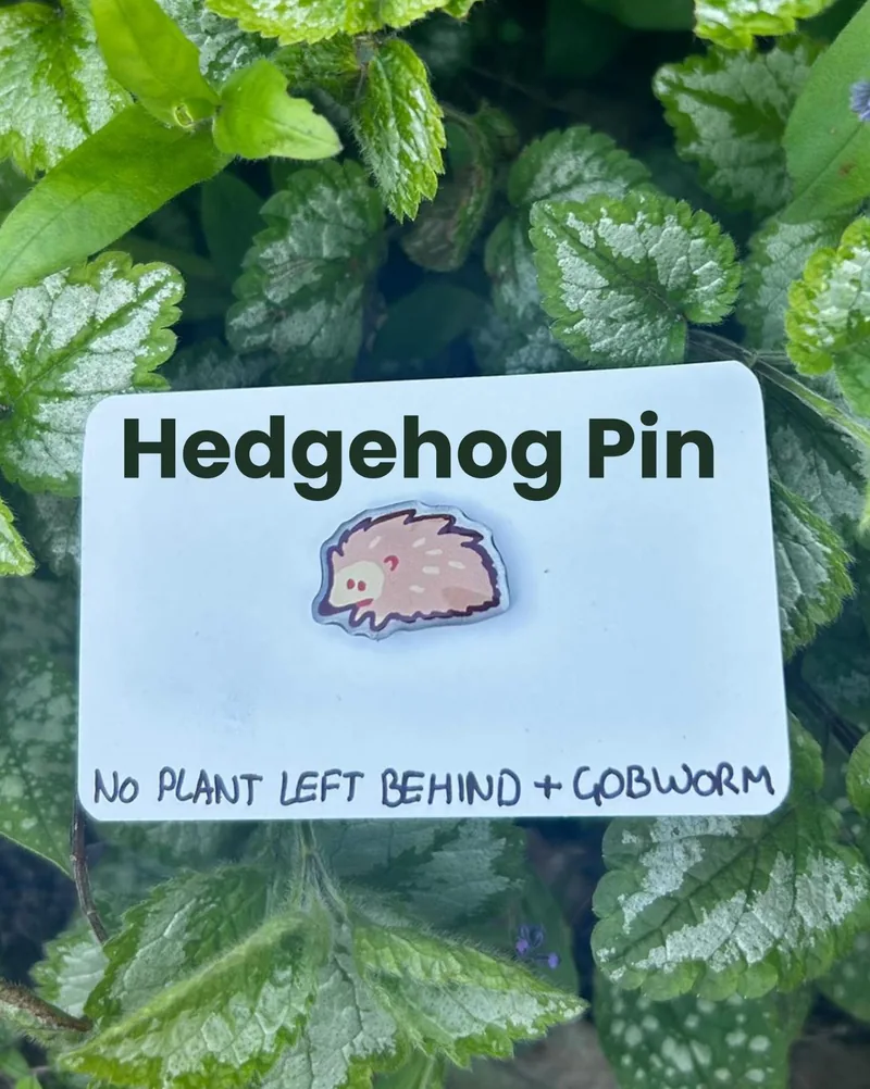 The hedgehog pin on its backing card