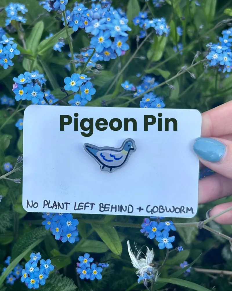 The pigeon pin on its backing card
