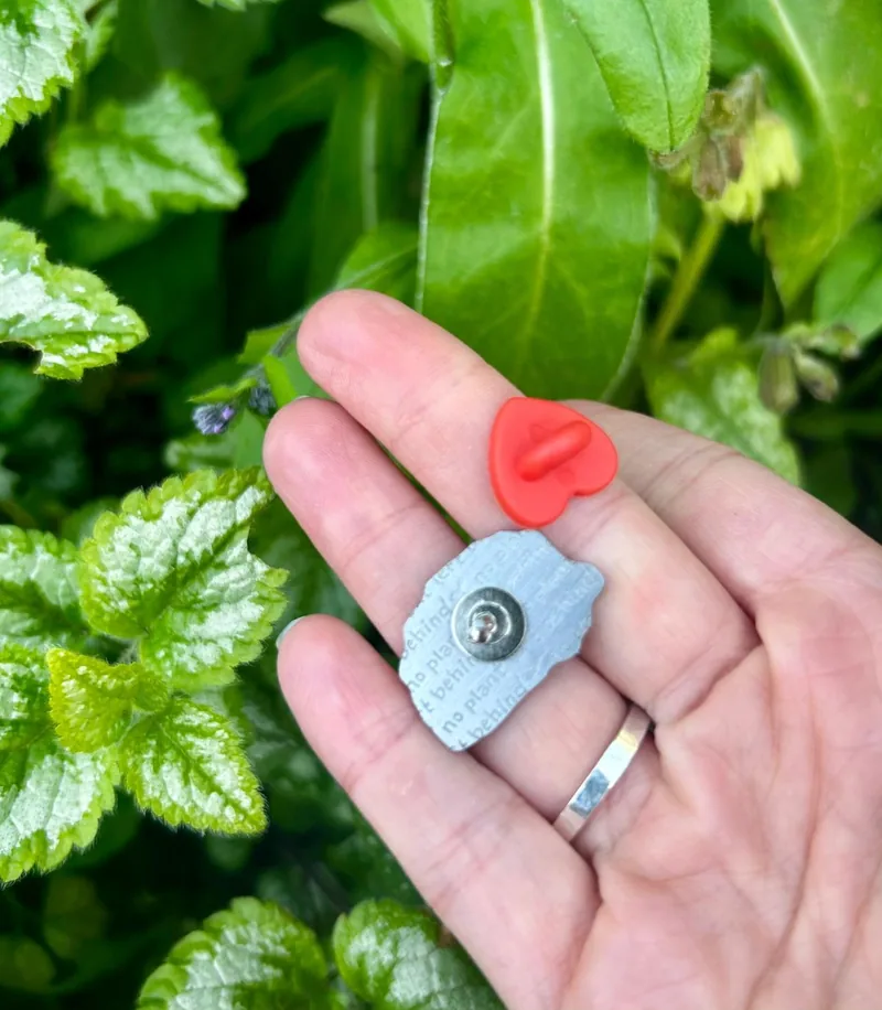 The back of a pin and its heart-shaped clasp