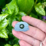 The back of a pin, stamped with No Plant Left Behind